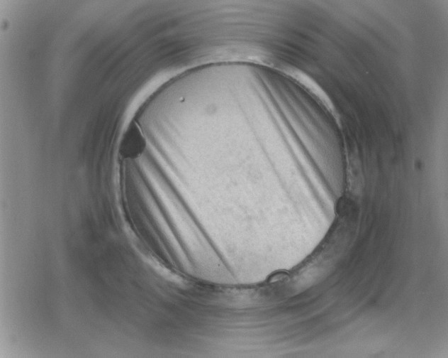 X0000079341096200612082018