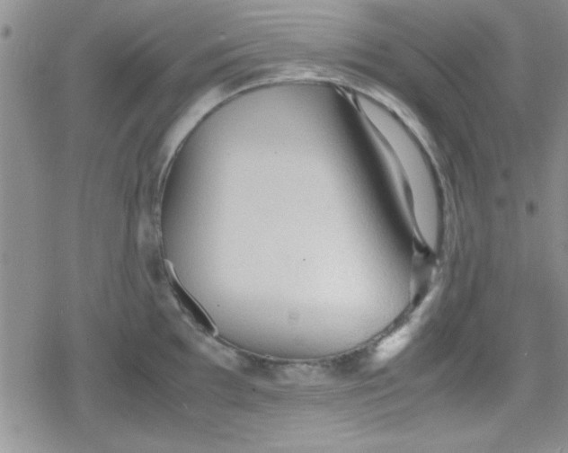 X0000079341097200612082018