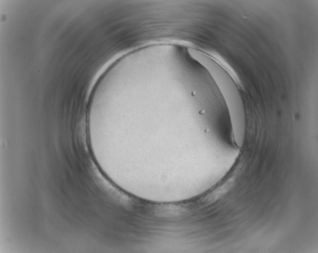 X0000079341100200612082018