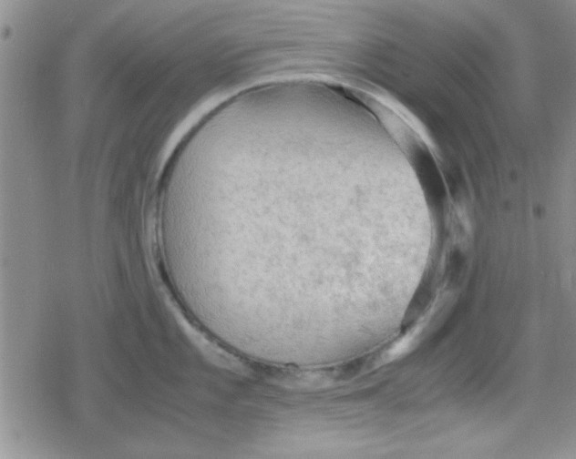 X0000079341101200612082018