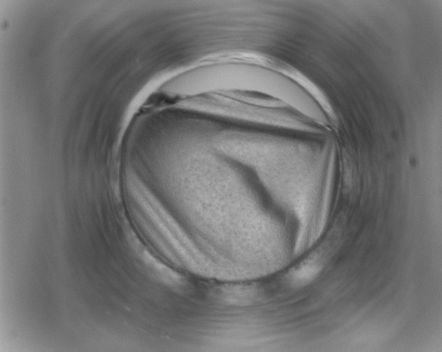 X0000079341102200612082018