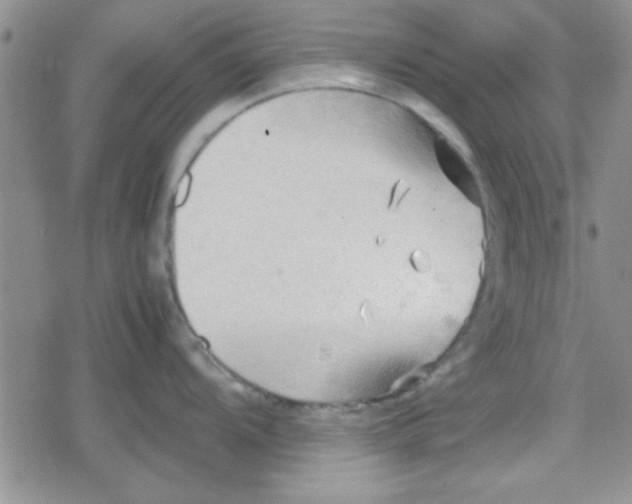 X0000079341104200612082018