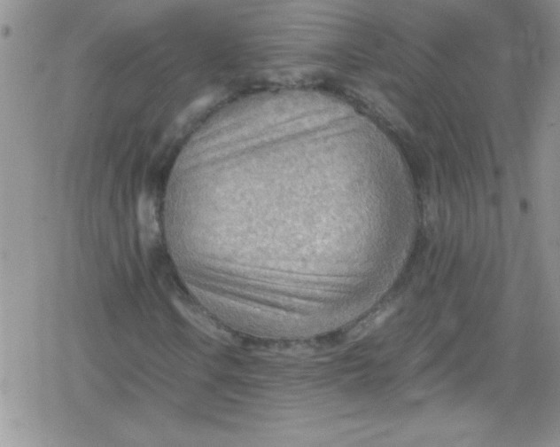 X0000079341106200612082017