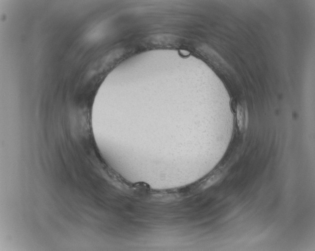 X0000079341107200612082017