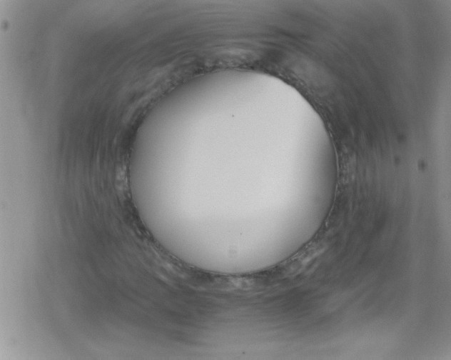 X0000079341109200612082017