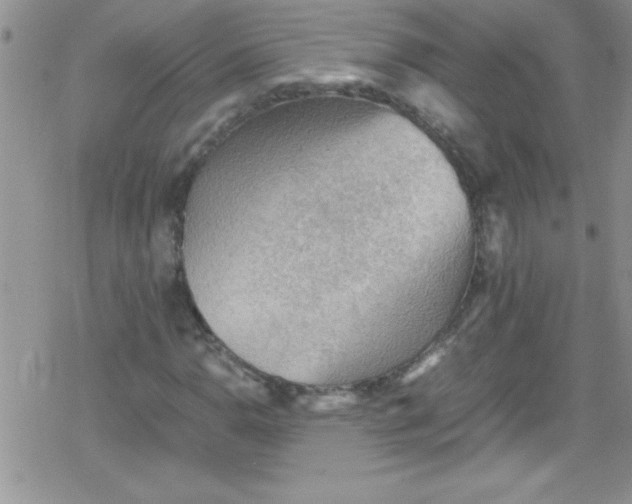 X0000079341110200612082017