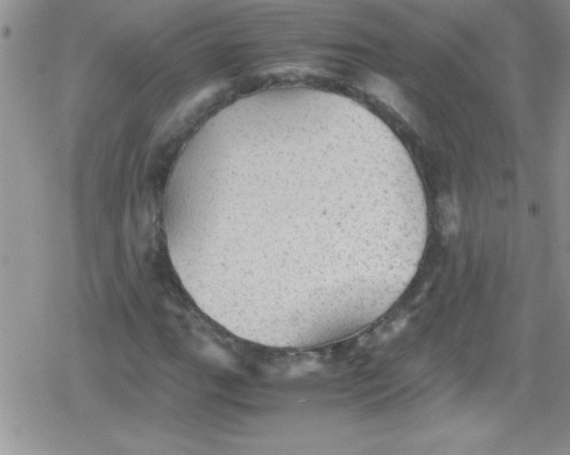 X0000079341111200612082017