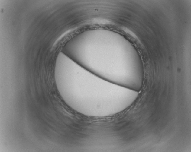 X0000079341112200612082017