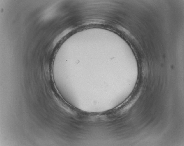 X0000079341113200612082017