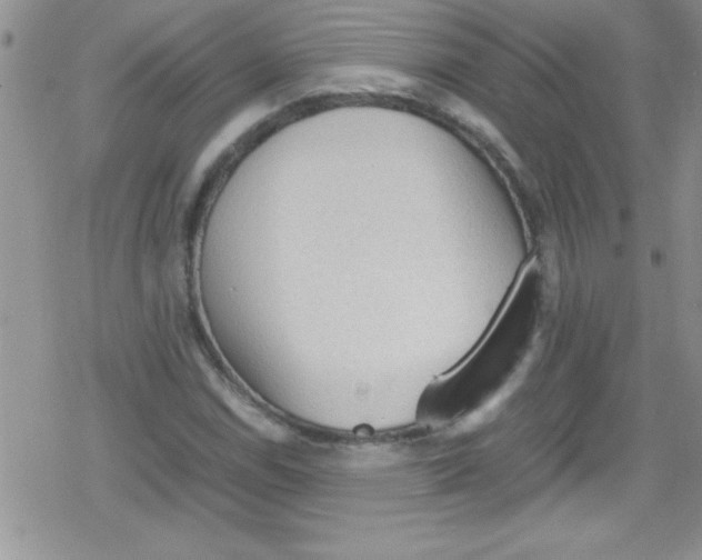 X0000079341114200612082017