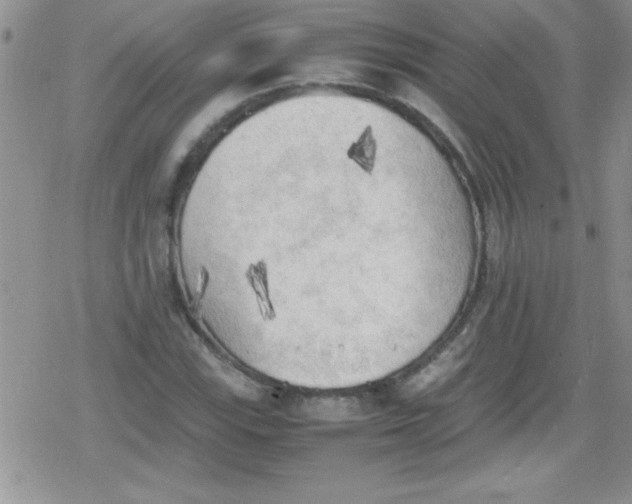 X0000079341115200612082017