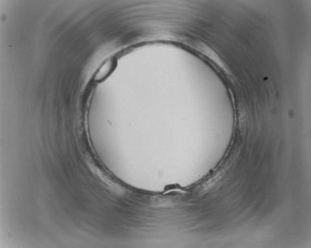 X0000079341116200612082017