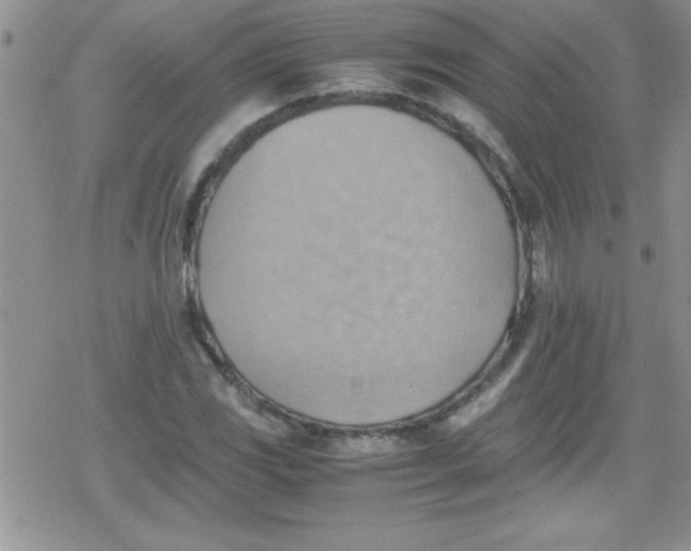 X0000079341117200612082017