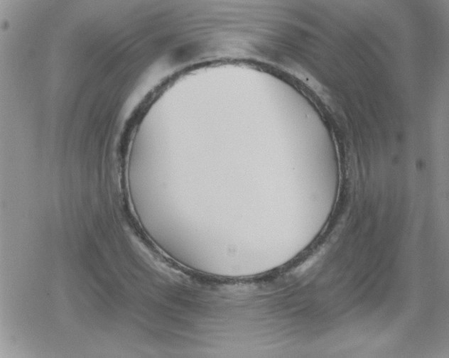 X0000079341118200612082017