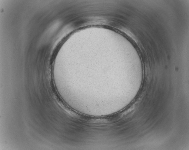 X0000079341119200612082017