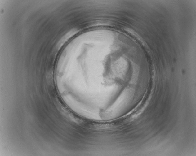 X0000079341121200612082017