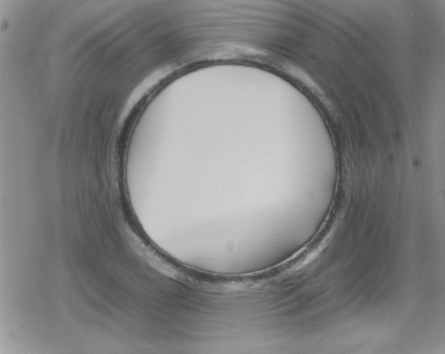 X0000079341122200612082017