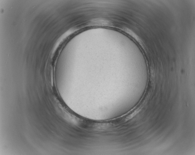 X0000079341123200612082017