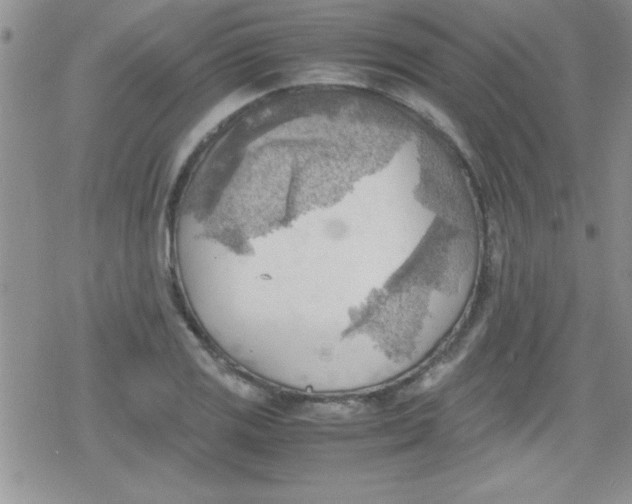 X0000079341125200612082017