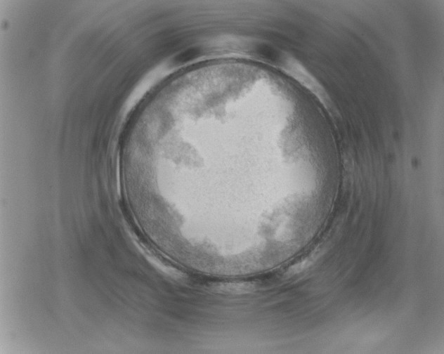 X0000079341127200612082017