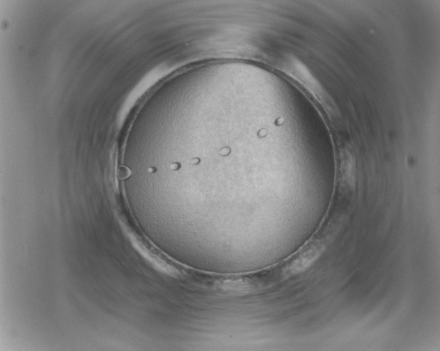 X0000079341128200612082017