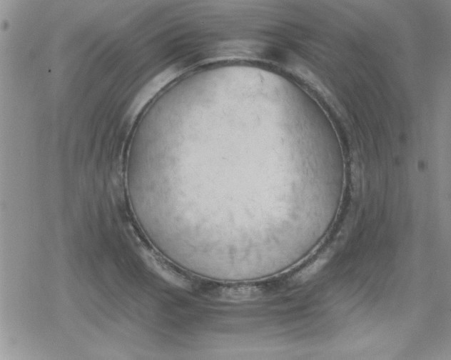 X0000079341129200612082017