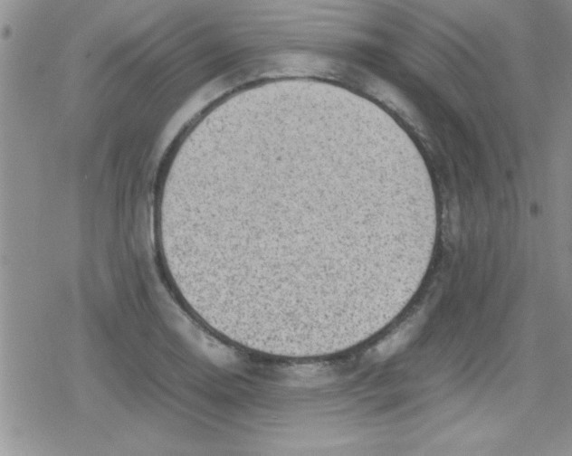 X0000079341130200612082017