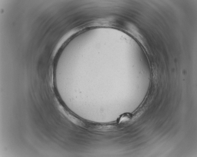 X0000079341131200612082017