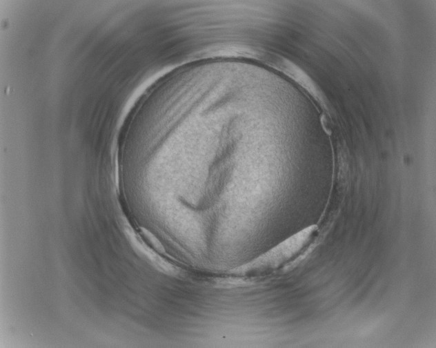 X0000079341132200612082017