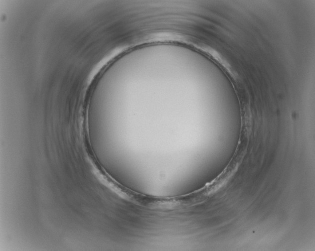 X0000079341134200612082018