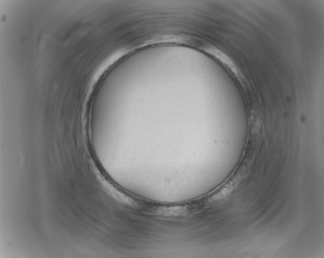 X0000079341135200612082018