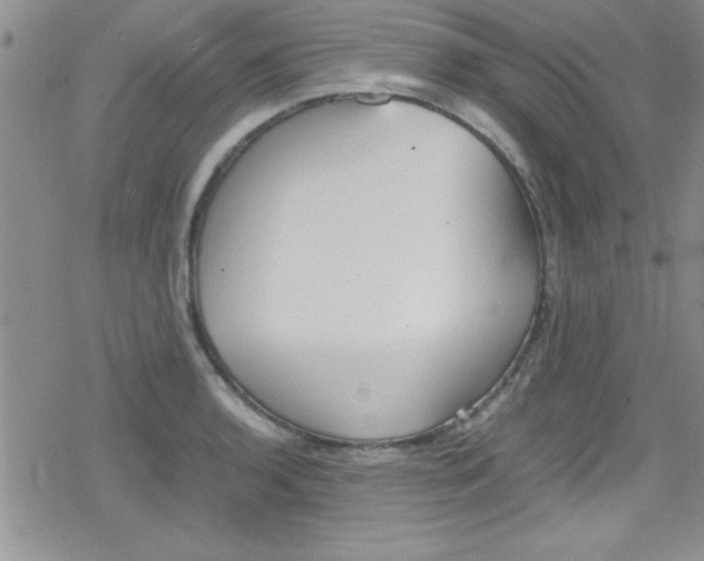 X0000079341136200612082018