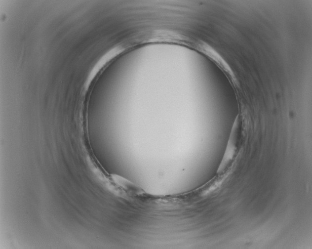 X0000079341138200612082018