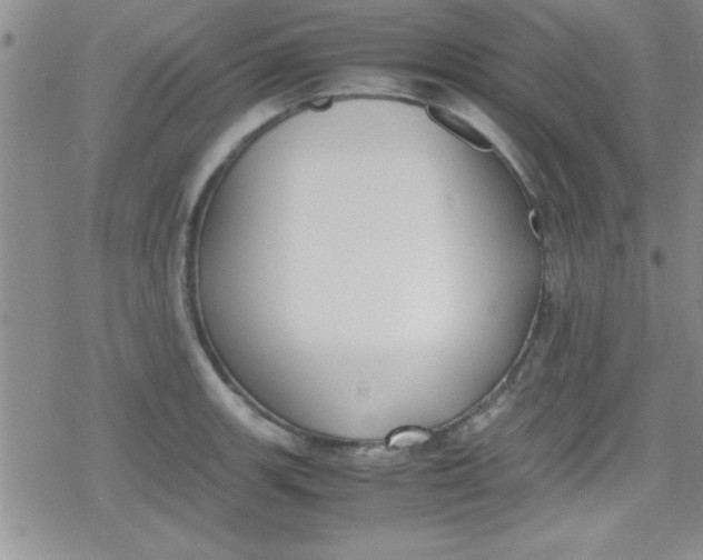 X0000079341139200612082018