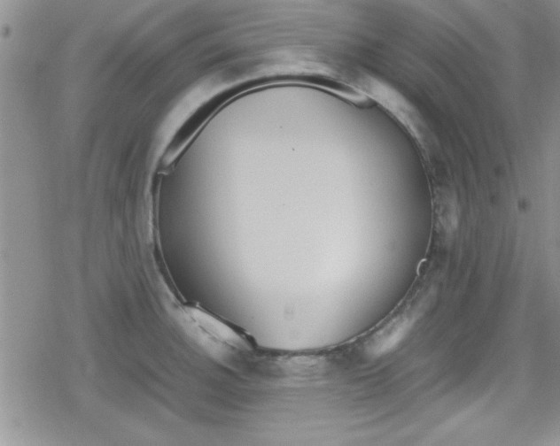 X0000079341140200612082018