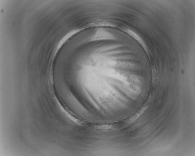 X0000079341141200612082018