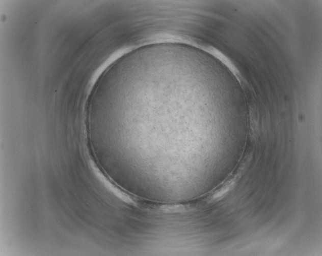 X0000079341142200612082018