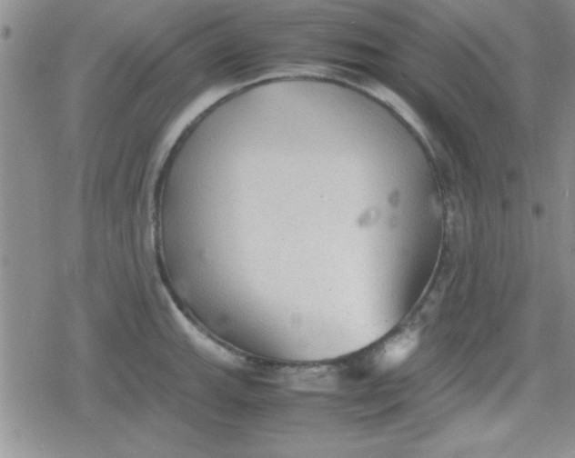 X0000079341143200612082018