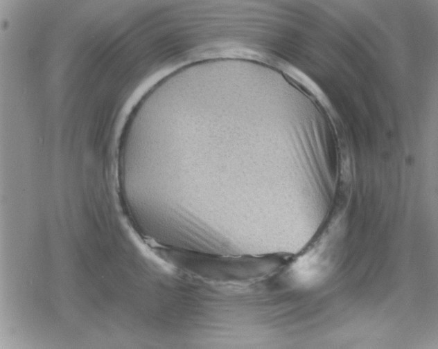 X0000079341144200612082018