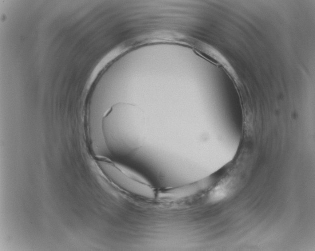 X0000079341146200612082018