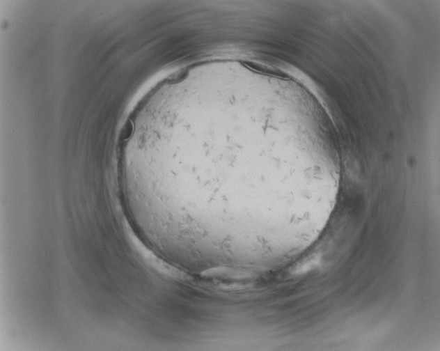 X0000079341147200612082018