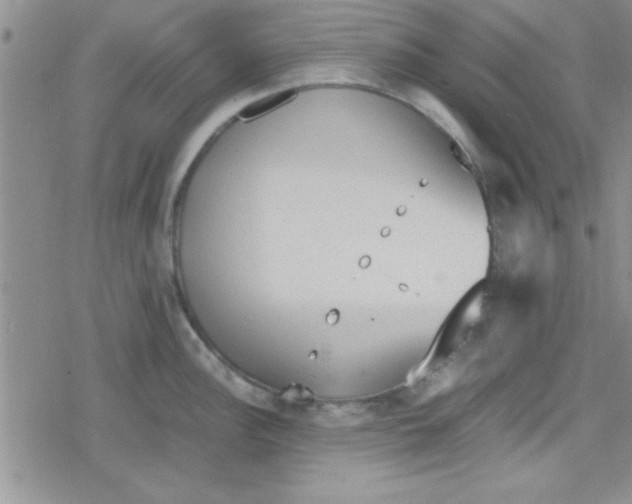 X0000079341148200612082018