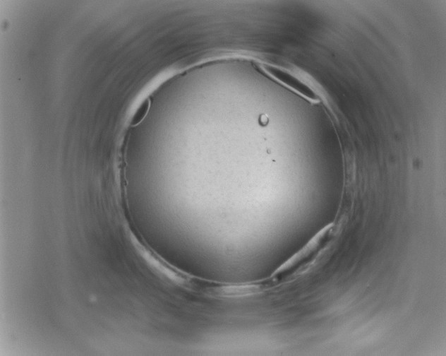 X0000079341151200612082018