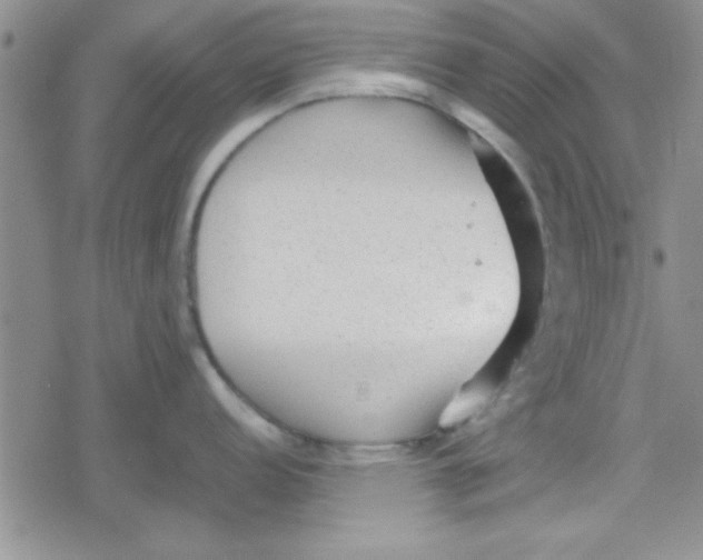 X0000079341152200612082018