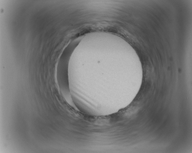 X0000079341153200612082017