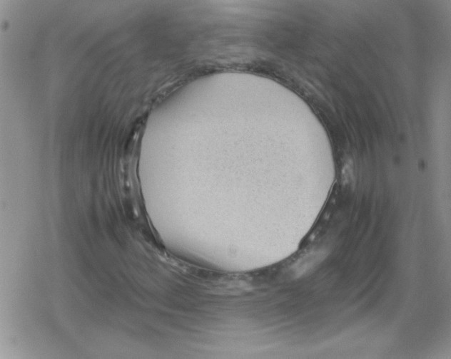 X0000079341156200612082017