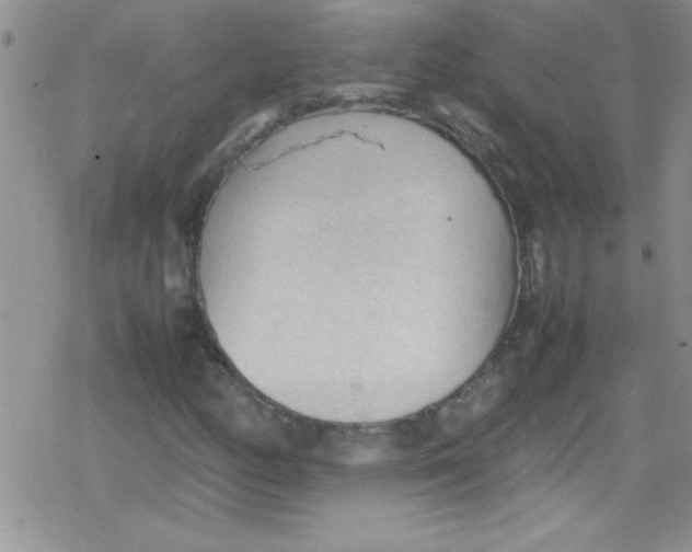 X0000079341158200612082017