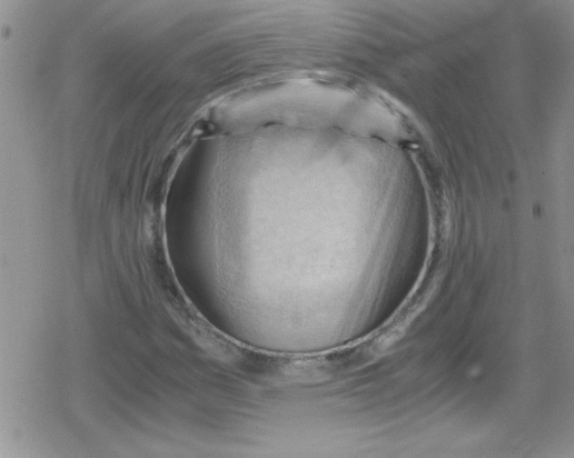 X0000079341161200612082017