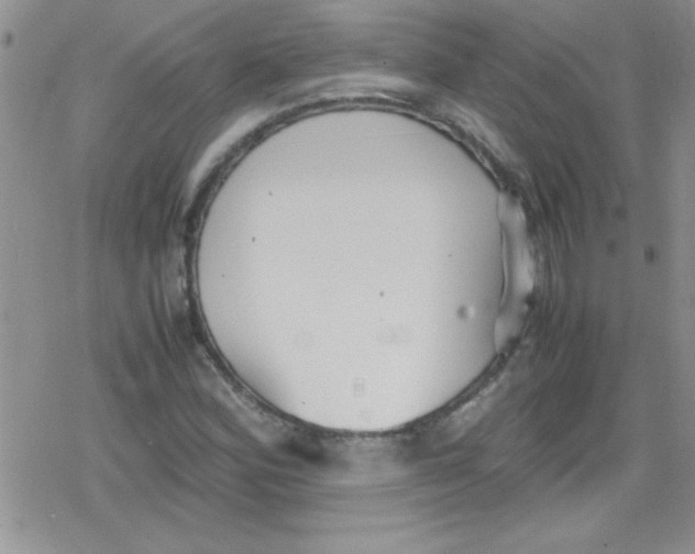 X0000079341164200612082017