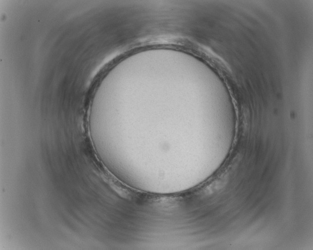 X0000079341166200612082017